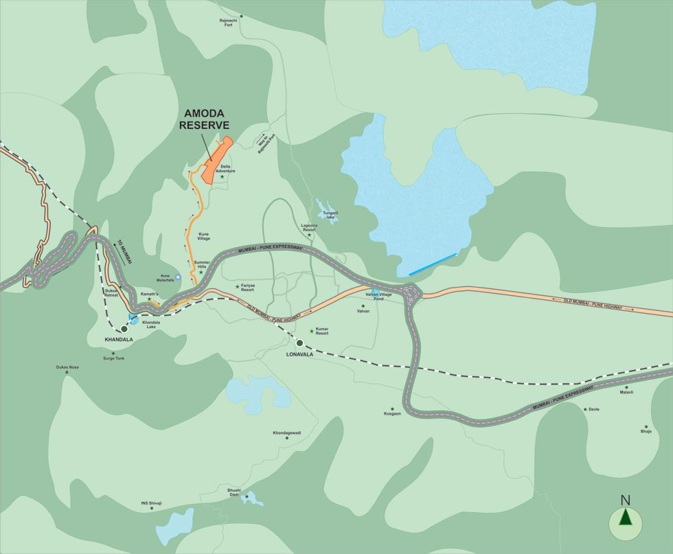 Amoda Reserve South Park Location